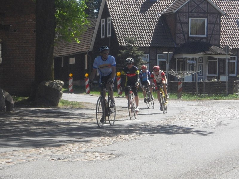 RTF Celle 2011 Manfred 210